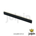 Regleta x 40 pines hembra de 2.54mm