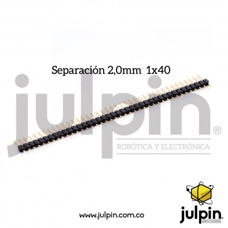 Regleta x 40 pines macho.
