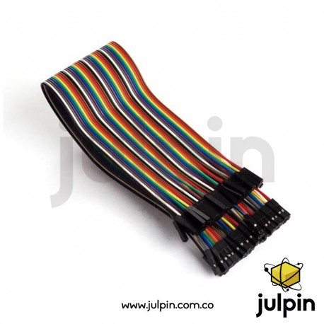 40 puentes de 30cm hembra-hembra